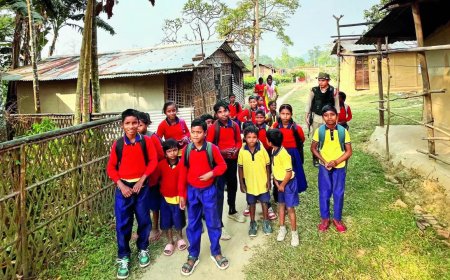 Forest guards escort kids to school as tigers prowl Assam tea garden