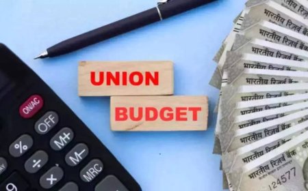 EC nod to February 1 Budget, but with riders on Delhi schemes