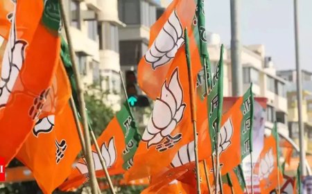 BJP makes graft slur against AAP campaign's pivot