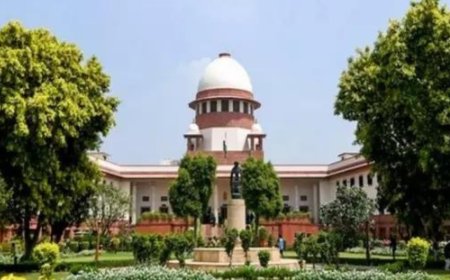 No bar on releasing vehicles used for drug trafficking: SC