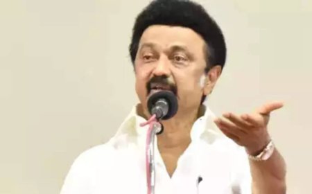 'Sexual assault on a student is cruel': MK Stalin says unfair to blame government over Anna University rape case