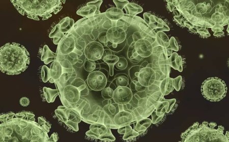 HMPV cases part of 'usual seasonal surge in northern hemisphere', says WHO