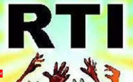 RTI portal 'glitch' frustrates applicants