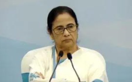 Provide police cover to Sandeshkhali gang-rape survivor: Calcutta HC to Bengal government