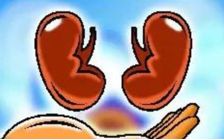 Can't stop organ donation without proof of 'sale': Kerala HC