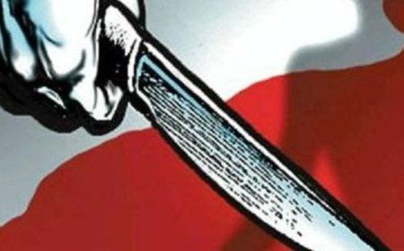 Colleague hacks woman with cleaver in office parking lot as people watch