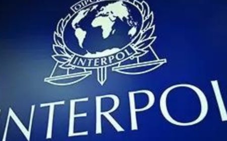 Interpol issues first-ever 'Silver Notice' to track laundered assets