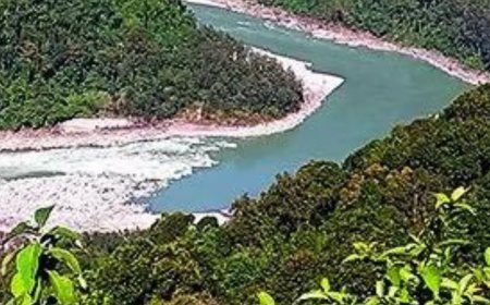 Arunachal dam can save North-East from China hydrocracy: Minister Ojing Tasing
