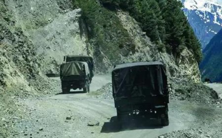 Wildlife board nod for 11 defence projects near LAC in Ladakh