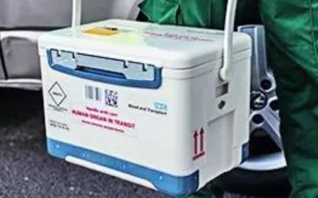 Central government staff who donate organs are entitled to 42 days of special CL