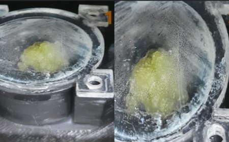 In a first, Indian university grows spinach tissue in space