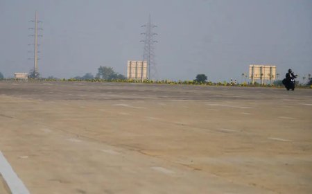 Govt plans to halve toll for users of long flyovers, tunnels, bridges on highways