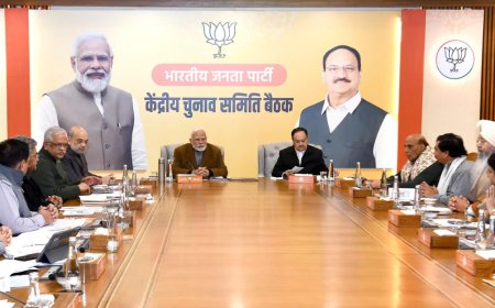 Delhi elections: BJP releases 2nd list of 29 candidates, Kapil Mishra fielded from Karawal Nagar