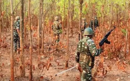 3 Maoists killed in encounter in Chhattisgarh's Bijapur, weapons and explosives recovered