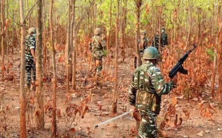 Chhattisgarh: 5 Maoists shot dead in Bijapur; toll 14 this month