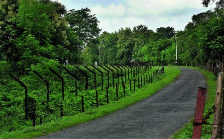 Bangladesh calls Indian envoy over 'unauthorised' border fencing