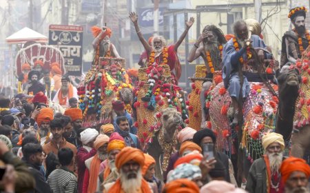 Maha Kumbh, world's largest sangam of the spiritual, is now in full flow