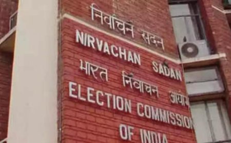 Delhi polls: Items worth Rs 21 crore seized within a week of MCC implementation