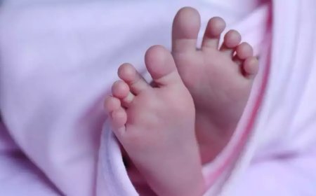 'Have four children, get Rs 1 lakh': MP Brahmin panel chief to community