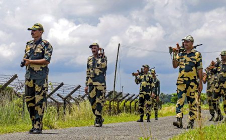 BSF, Bangladesh border guards to hold talks in Feb on construction of single-row fence