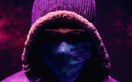 Lured by cyberscam 'firm', Tamil Nadu engineer went solo, conned Japanese professor