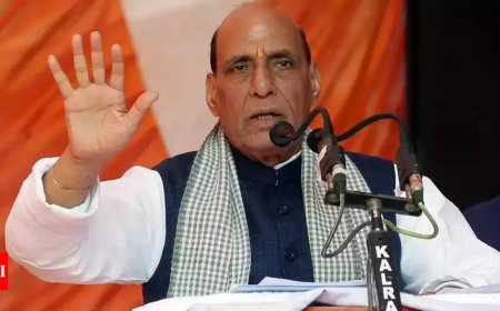 'PoK being used to run business of terrorism': Rajnath Singh criticises Chaudhry Anwarul Haq's anti-India remarks