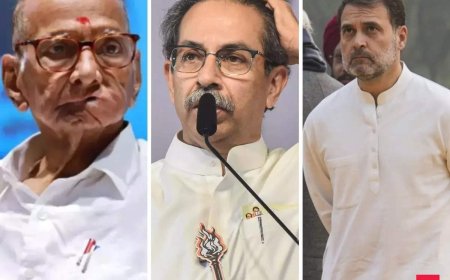 'State elections not on agenda for INDIA bloc': Sharad Pawar’s remarks fuel MVA rift amid Shiv Sena's (UBT) solo move