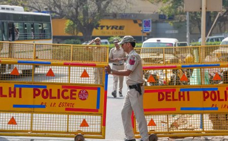 Cops link NGO to hoaxes; BJP, AAP in war of words