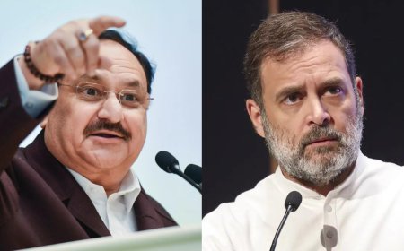 Rahul Gandhi says 'fighting not just BJP & RSS, but Indian State', BJP calls it 'Soros's playbook'