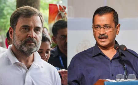 Delhi elections: INDIA bloc allies TMC, SP back AAP; Congress says 'sacrificing many things' for alliance