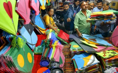 15 dead in kite-flying mishaps across Gujarat