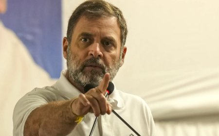 Bhagwat's 'true independence' remark akin to treason: Rahul Gandhi