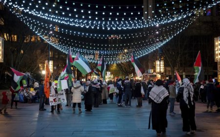 'Consistently called for release of hostages': India issues statement on Israel-Hamas ceasefire in Gaza