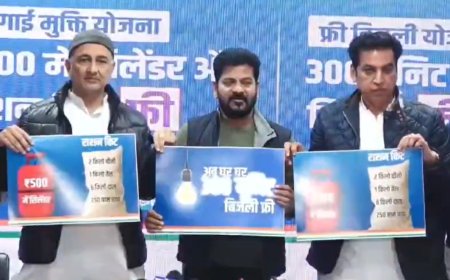 Delhi elections: Congress promises Rs 500 LPG cylinders, 300 free electricity units