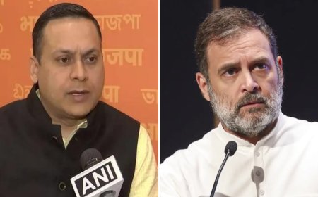 'Disrupted parliament, based on findings from dubious Soros-funded org': BJP targets Congress after Hindenburg shutdown