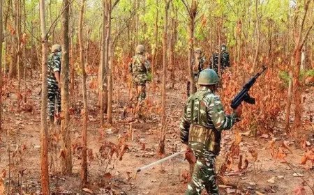 12 Naxals killed in encounter in Chhattisgarh's south Bastar
