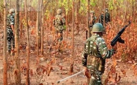 Chhattisgarh: Twelve Naxals killed in fierce encounter going on in forests of South Bijapur of Bastar