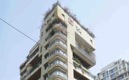 Wary celebrities ask: We have laws, but what about order?