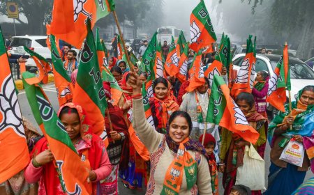 BJP names 9 candidates in final list; allies get 2 seats