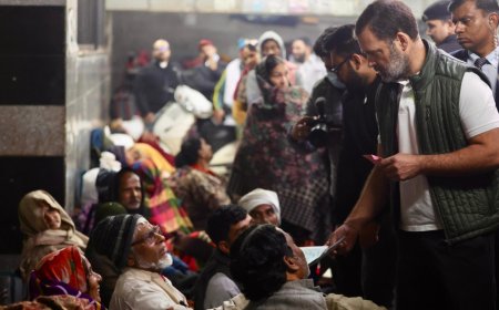 'People forced to sleep on footpaths in freezing cold': Rahul Gandhi visits Delhi AIIMS; see video