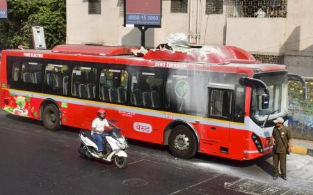 Transport, truckers’ associations to celebrate January 24 as ‘Drivers’ Day’