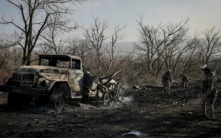 12 Indians have died fighting for Russia, 16 others missing: Government