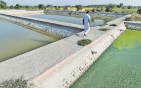 Bizarre decision: Controversial plan diverts water drainage to village center, raising eyebrows among villagers