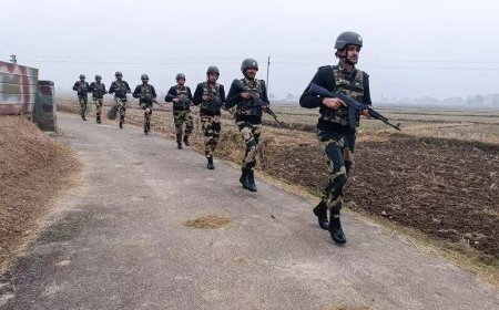 India, Bangladesh farmers clash over 'stolen crop', 'cutting of mango trees'