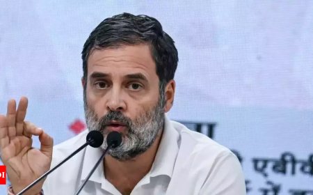 FIR filed against Rahul Gandhi for 'fighting Indian state' remark