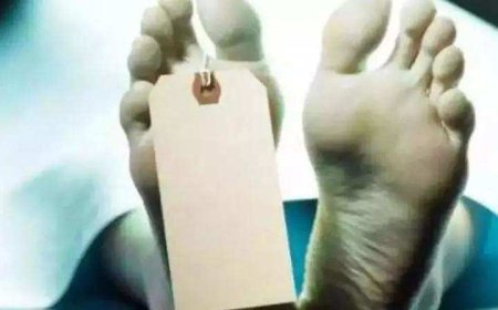 Ambulance doors get jammed, Rajasthan woman dies inside