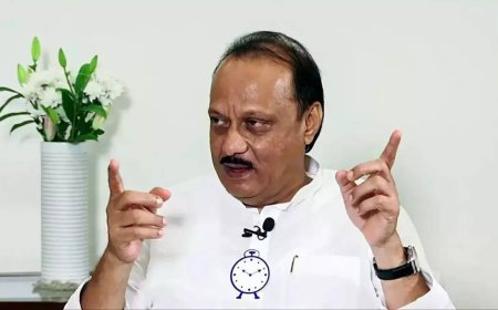 Opt out of Ladki Bahin scheme if income is Rs 2.5L+/year: Ajit Pawar