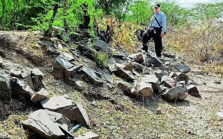 Lost & found: Gujarat town & university dating to 300 CE