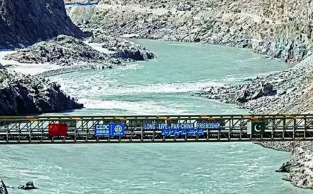 Neutral expert upholds India's stand on Indus Water Treaty against Pakistan