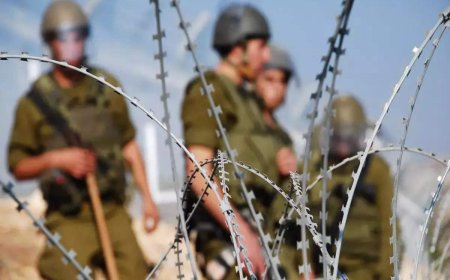 No confirmation of participation of Indians in Russian forces: Ukraine